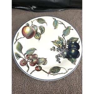 Pier 1 Macintosh England Angleterre Apple Blackberry Fruit 10" Dinner Plates- 4